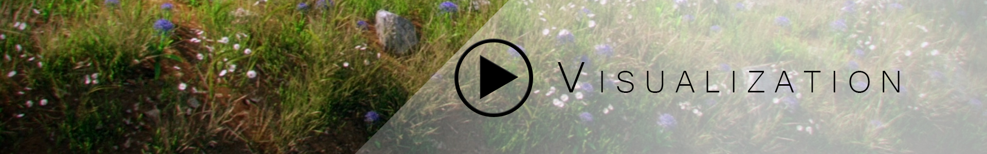 websiteMovieButton_Visualization